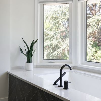 TwinLions Contracting Portfolio