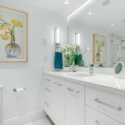 TwinLions Contracting Portfolio