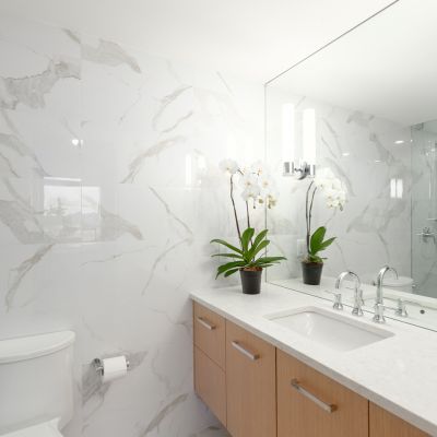 TwinLions Contracting Portfolio