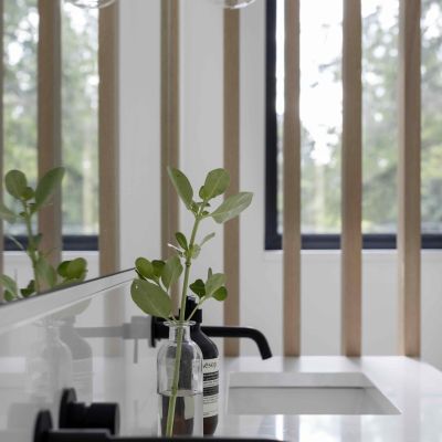 TwinLions Contracting Portfolio